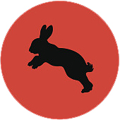 2019年生肖屬兔的男命運勢