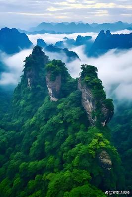 文章附图
