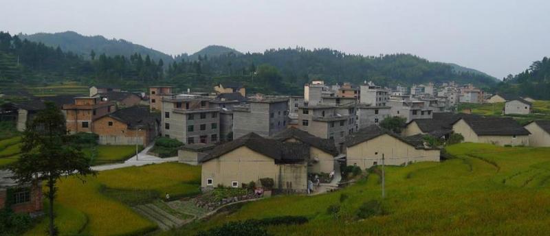 屏峰村.jpg